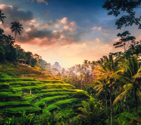 Bali Holiday Packages Including Flights contact RL Tours and Travels