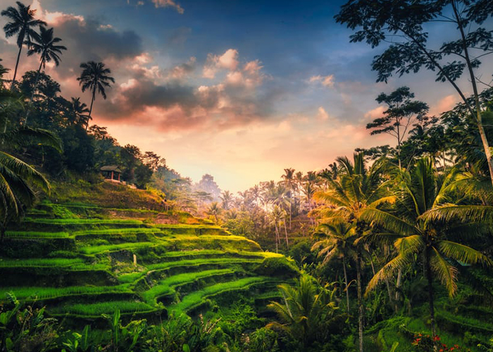 Bali Holiday Packages Including Flights contact RL Tours and Travels